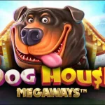 Lagi Bokek? Coba Main The Dog House Megaways, Bisa Jadi Solusi!