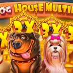 The Dog House Multihold Slot Gacor KONOHATOTO78, Spam Buy Spin Auto Profit!