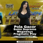 Sumo Supreme Megaways JP: Pola Gacor 3 Juli 2025!