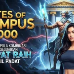 Pola Akurat Olympus Maxwin Kombinasi Tepat Gacor