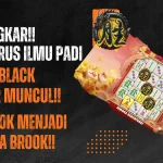 Situs Slot Scatter Hitam KONOHATOTO78 Paling Gacor Hari Ini